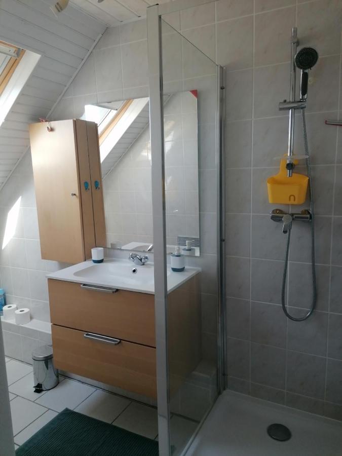 Ferienwohnung Chez Carine Schiltigheim Exterior foto